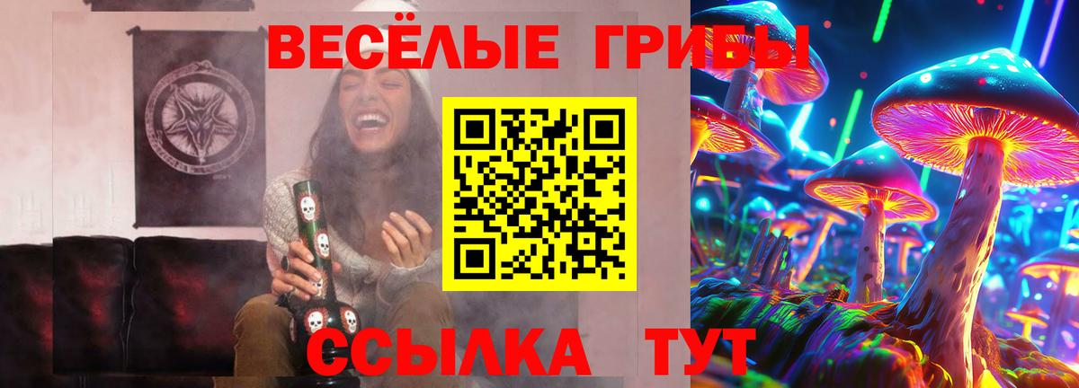 Сатка  Псилоцибиновые грибы Magic Shrooms  Вход с VPN  Псилоцибиновые грибы Psilocybe 
