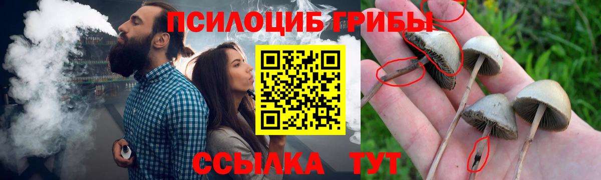Галлюциногенные грибы Psilocybe Сатка